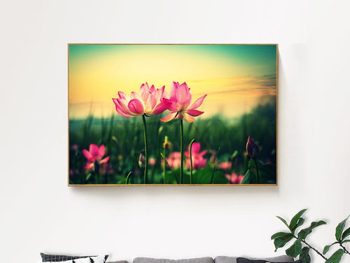 荷花时尚唯美装饰画 抽象无框画与灯具的完美融合