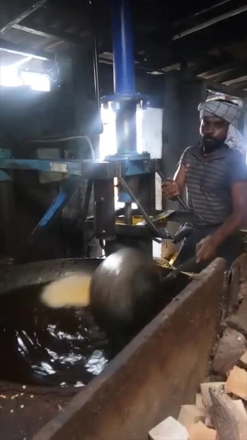 印度油炸食品加工厂 一锅油2000斤的产能奇迹与安全隐患